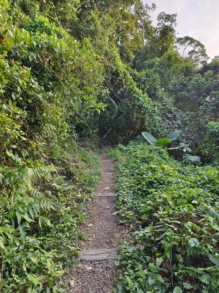 新竹芎林 の 石壁潭生態步道 & 石壁潭山