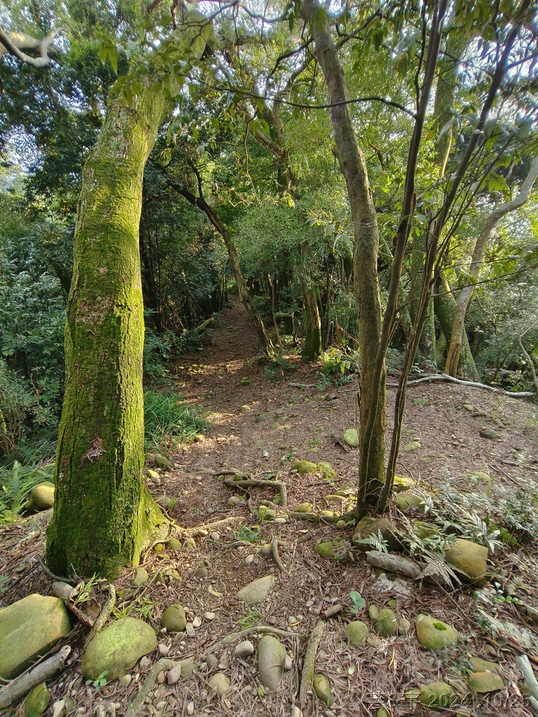 新竹芎林 の 石壁潭生態步道 & 石壁潭山