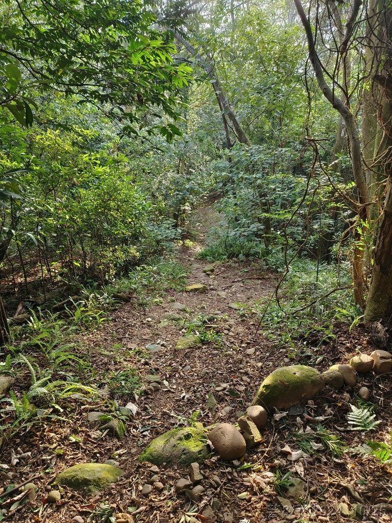 新竹芎林 の 石壁潭生態步道 & 石壁潭山