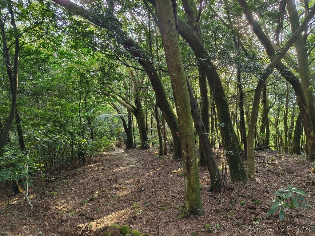 新竹芎林 の 石壁潭生態步道 & 石壁潭山