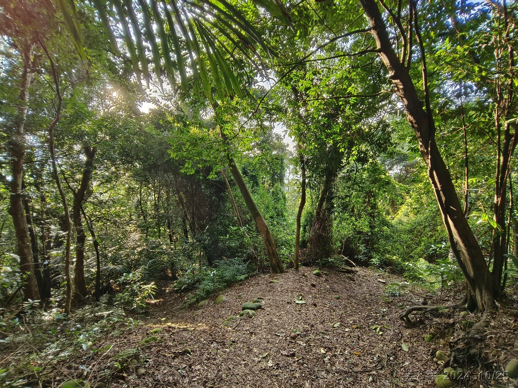 新竹芎林 の 石壁潭生態步道 & 石壁潭山