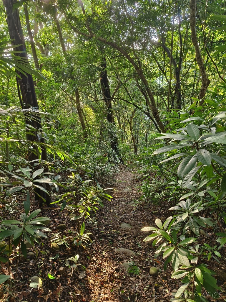 新竹芎林 の 石壁潭生態步道 & 石壁潭山