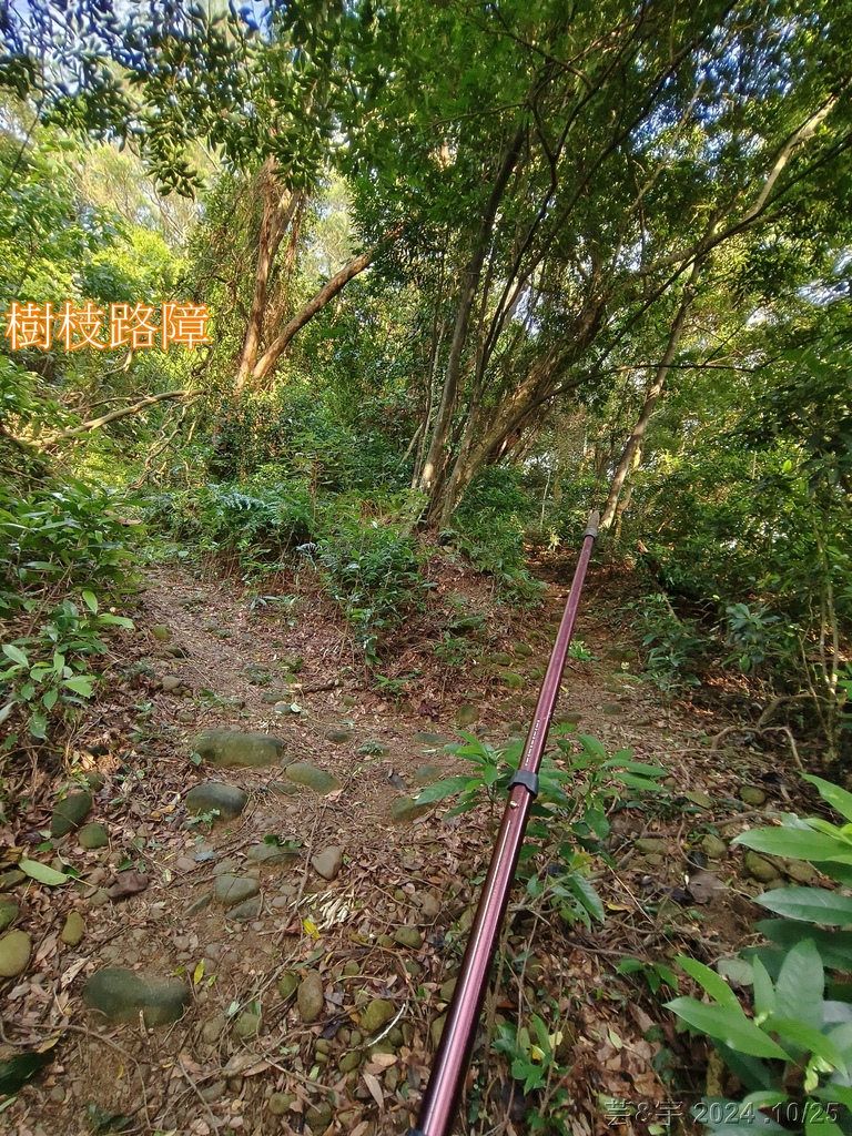 新竹芎林 の 石壁潭生態步道 & 石壁潭山