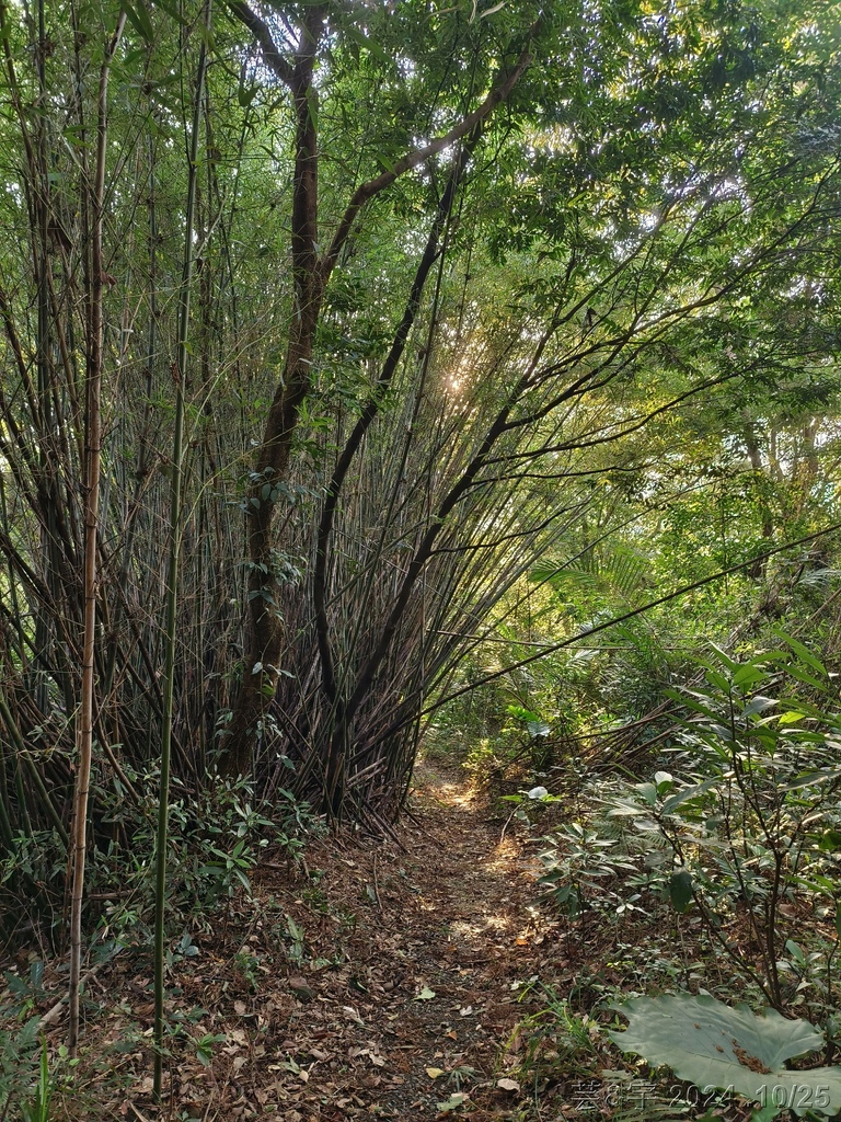 新竹芎林 の 石壁潭生態步道 & 石壁潭山