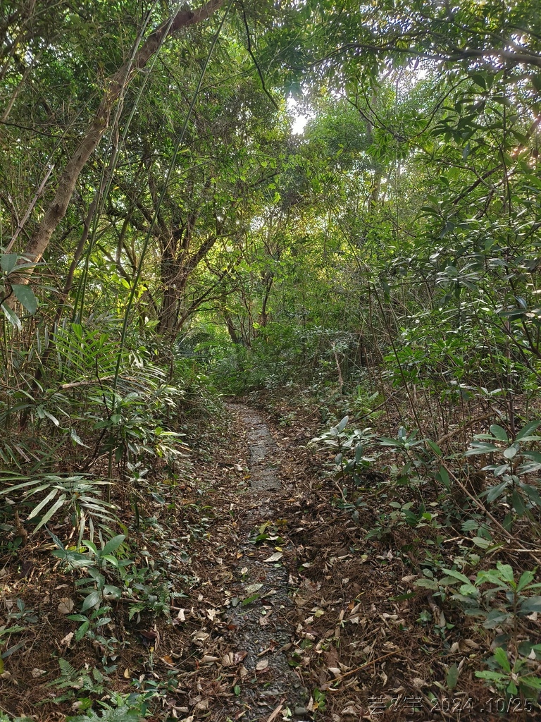 新竹芎林 の 石壁潭生態步道 & 石壁潭山