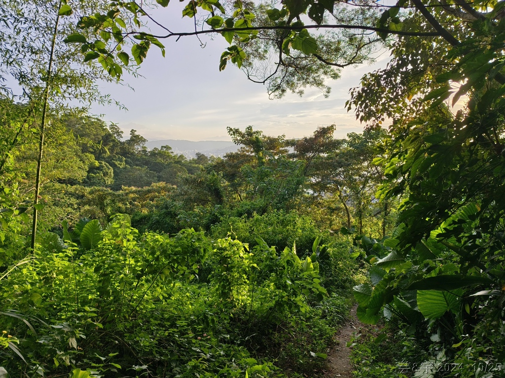 新竹芎林 の 石壁潭生態步道 & 石壁潭山
