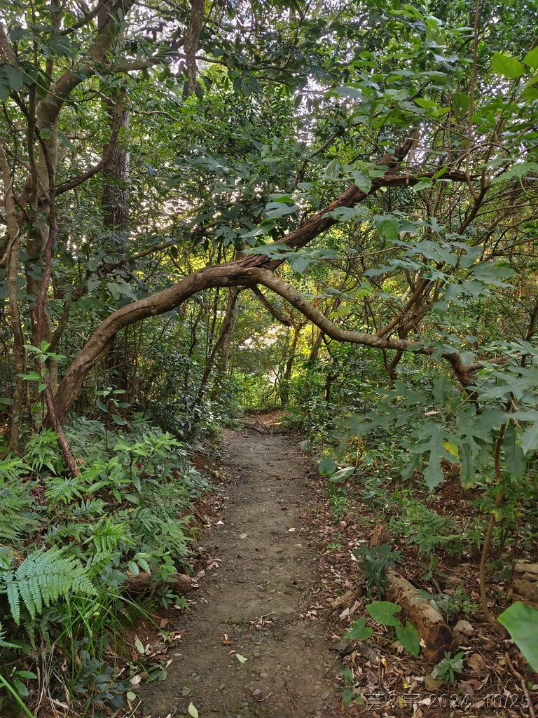 新竹芎林 の 石壁潭生態步道 & 石壁潭山