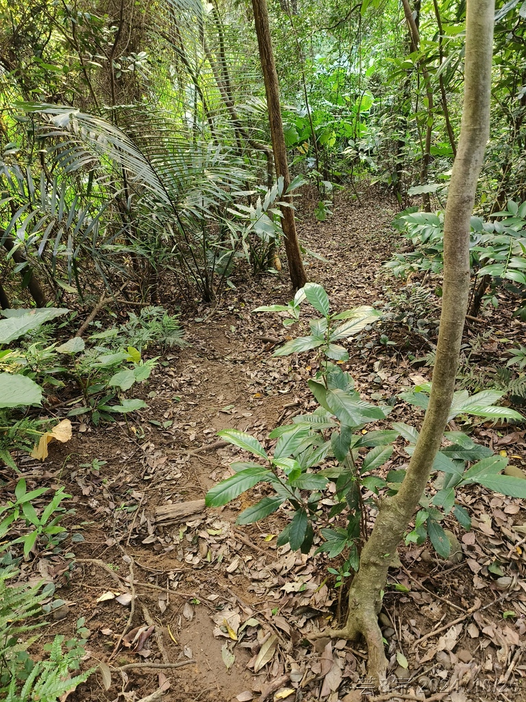 新竹芎林 の 石壁潭生態步道 & 石壁潭山