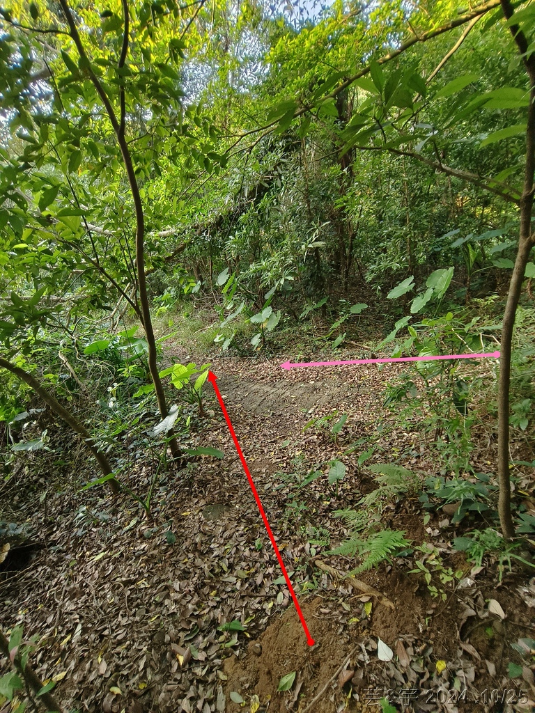 新竹芎林 の 石壁潭生態步道 & 石壁潭山