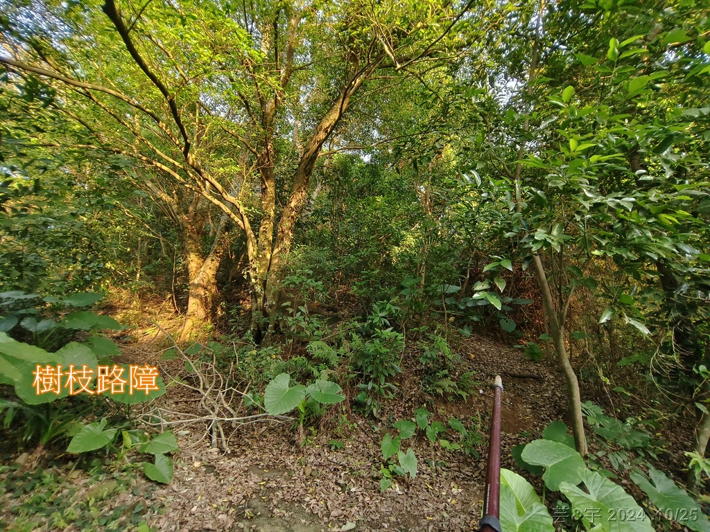 新竹芎林 の 石壁潭生態步道 & 石壁潭山