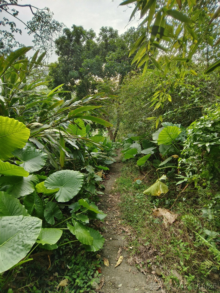 新竹芎林 の 石壁潭生態步道 & 石壁潭山
