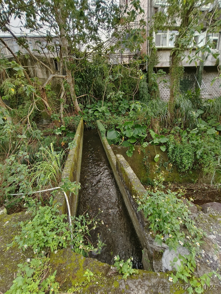 新竹芎林 の 石壁潭生態步道 & 石壁潭山