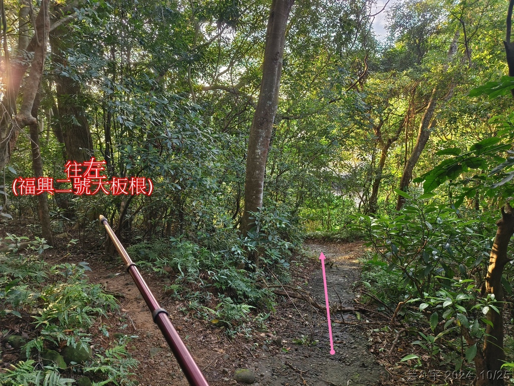 新竹芎林 の 石壁潭生態步道 & 石壁潭山