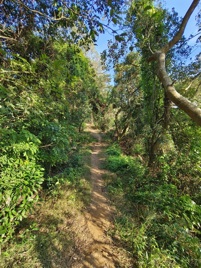 新竹新埔 の 文山步道 & 犁頭山 & 吧哩國山O走