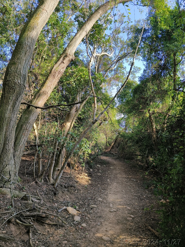 新竹新埔 の 文山步道 & 犁頭山 & 吧哩國山O走