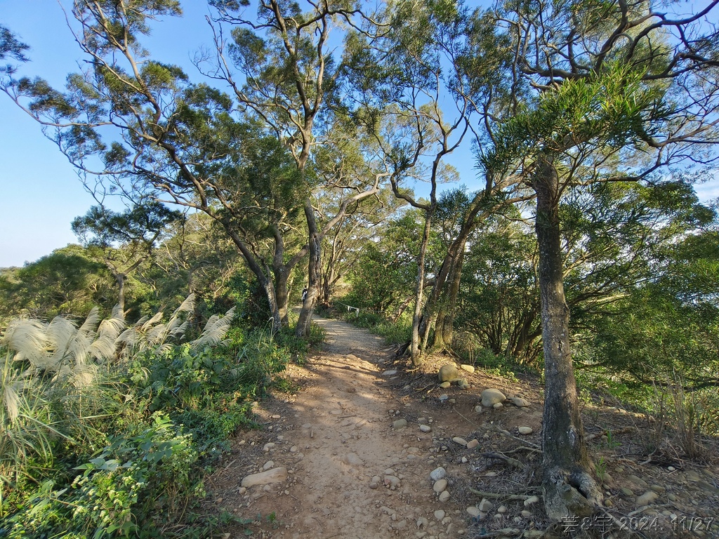 新竹新埔 の 文山步道 & 犁頭山 & 吧哩國山O走
