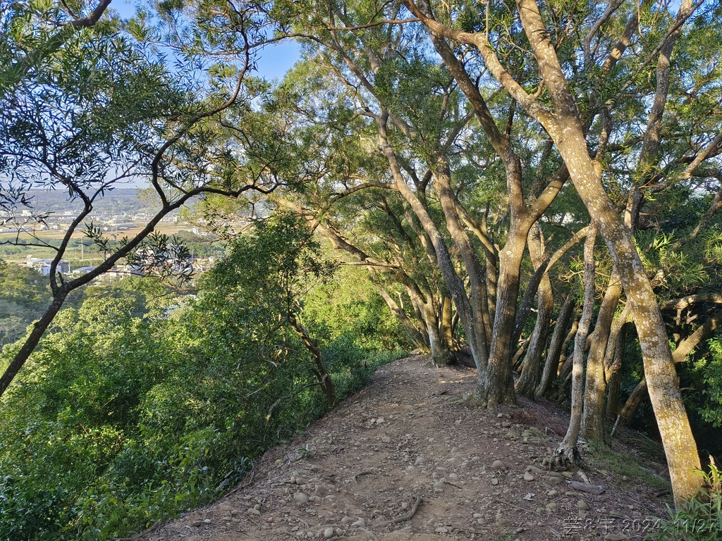 新竹新埔 の 文山步道 & 犁頭山 & 吧哩國山O走
