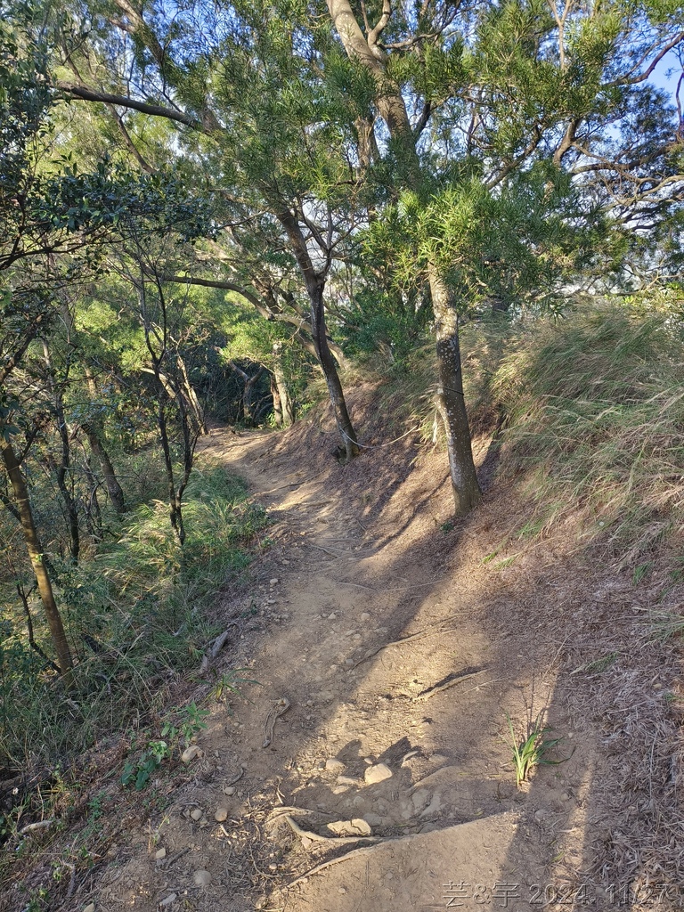 新竹新埔 の 文山步道 & 犁頭山 & 吧哩國山O走
