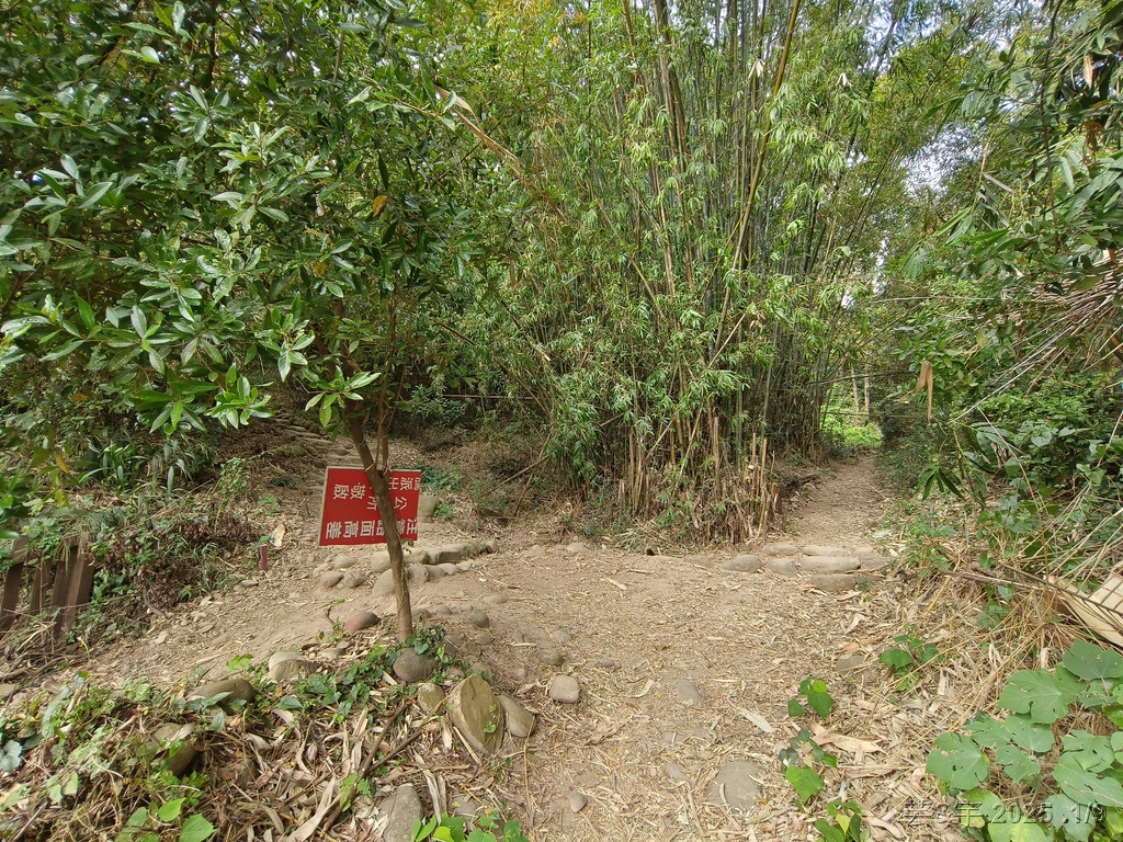 苗栗三義 の 火炎山、南鞍古道O走