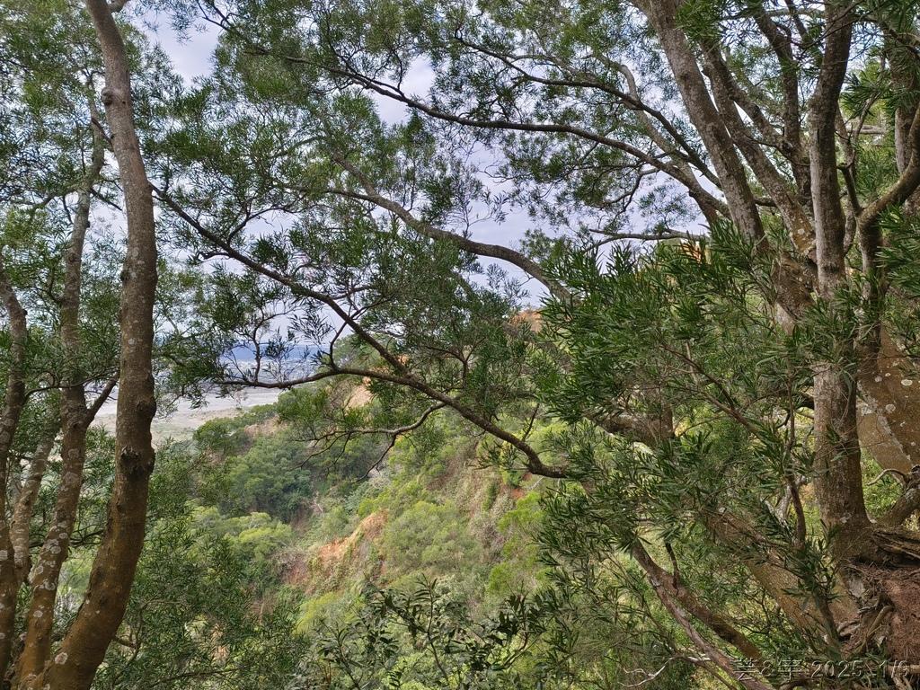 苗栗三義 の 火炎山、南鞍古道O走