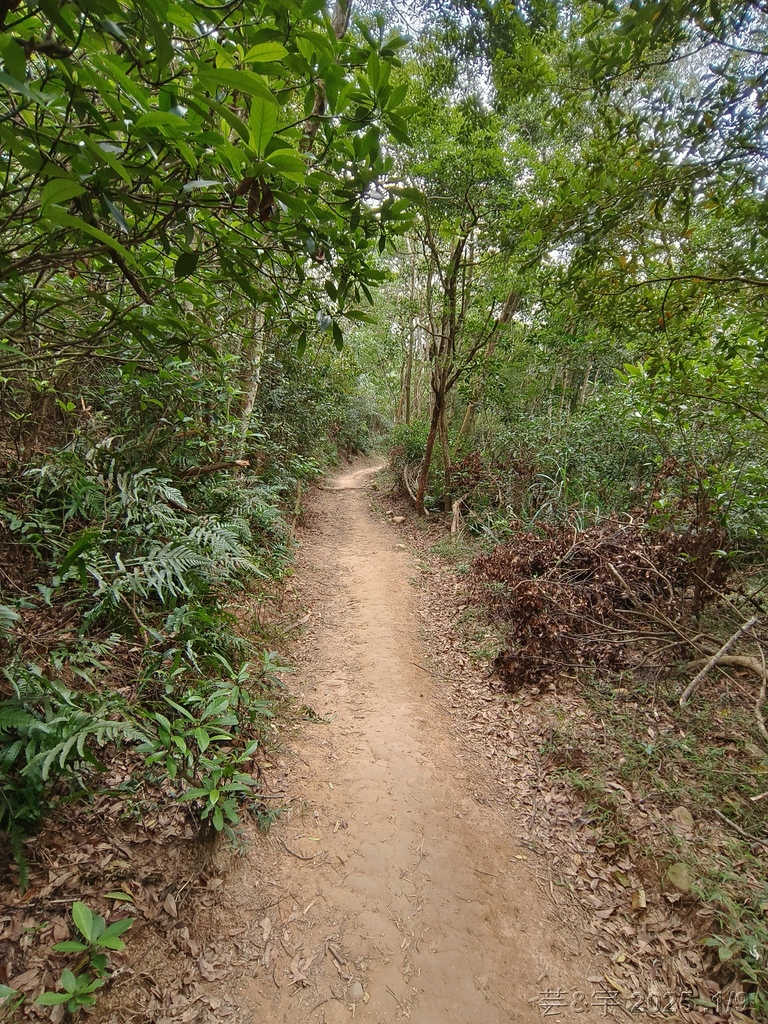 苗栗三義 の 火炎山、南鞍古道O走