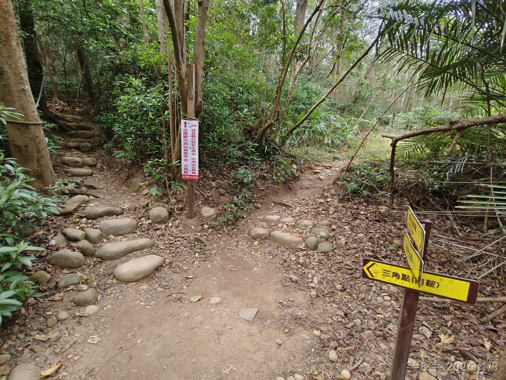 苗栗三義 の 火炎山、南鞍古道O走