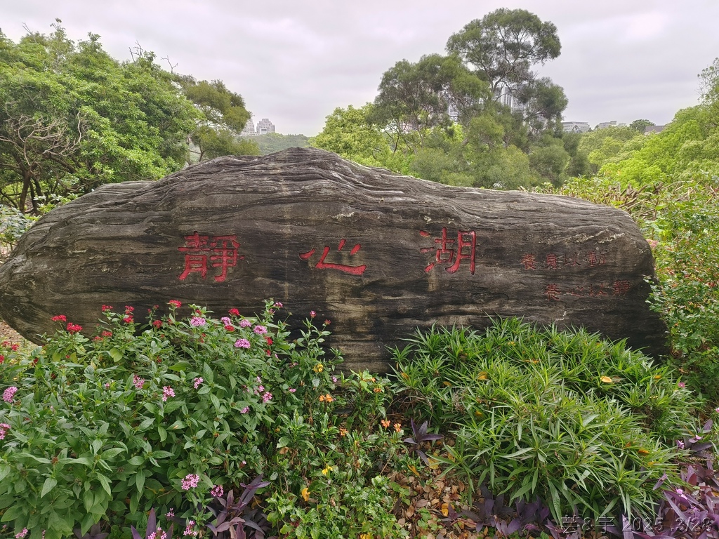 新竹科學園區靜心湖賞花(2025 .春) 新竹科學園區靜心湖賞花(2025 .春)