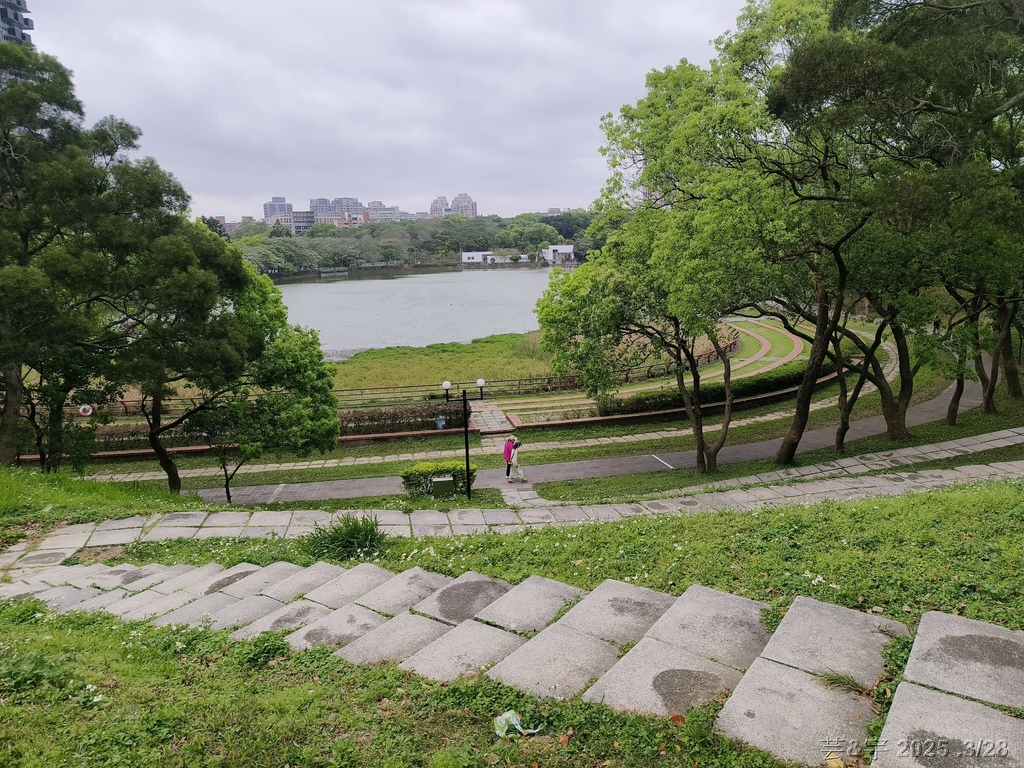 新竹科學園區靜心湖賞花(2025 .春)