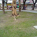 20110306217.jpg