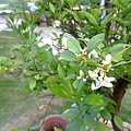 20110313233.jpg