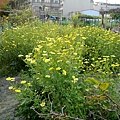 20110313236.jpg