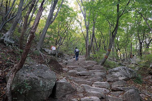 從梵魚寺往金井山城北門的山路