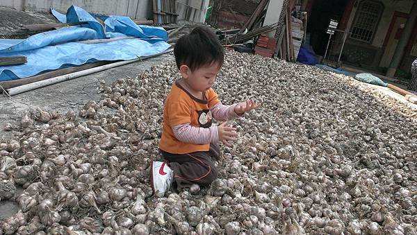 2014-04-04 13.31.59.jpg