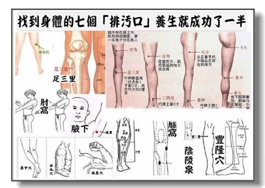 找到身體的七個「排污口」養生就成功了一半