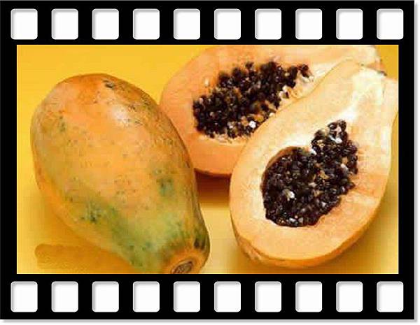 減肥療效最佳的水果王~木瓜
