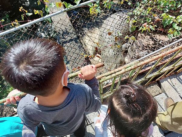 124 屏東「不一樣鱷魚生態農場」_220212_5.jpg