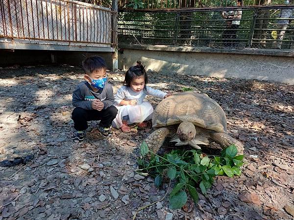 124 屏東「不一樣鱷魚生態農場」_220212_3.jpg