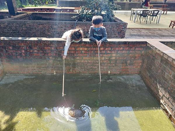 124 屏東「不一樣鱷魚生態農場」_220212_8.jpg