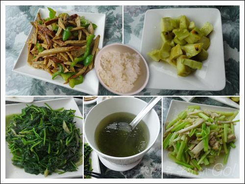 2021桃園民宿搏命之旅(2)拉拉山谷點咖啡