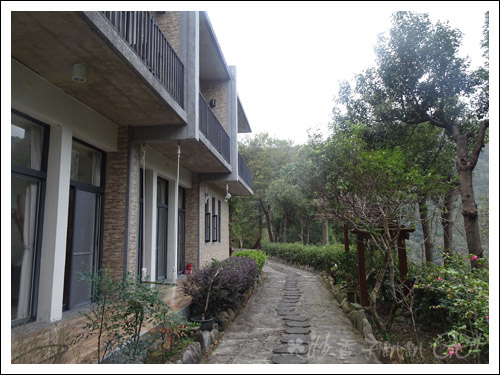 2021桃園民宿搏命之旅(2)拉拉山谷點咖啡