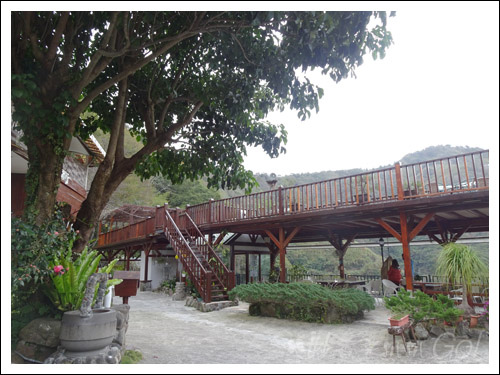 2021桃園民宿搏命之旅(2)拉拉山谷點咖啡