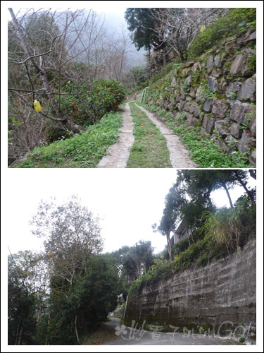 2021桃園民宿搏命之旅(2)拉拉山谷點咖啡