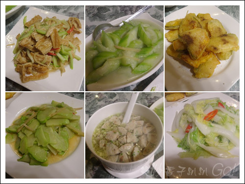 2021桃園民宿搏命之旅(2)拉拉山谷點咖啡