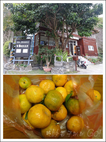 2021桃園民宿搏命之旅(2)拉拉山谷點咖啡