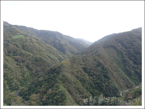 2021桃園民宿搏命之旅(2)拉拉山谷點咖啡