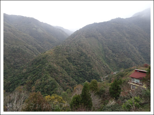 2021桃園民宿搏命之旅(2)拉拉山谷點咖啡