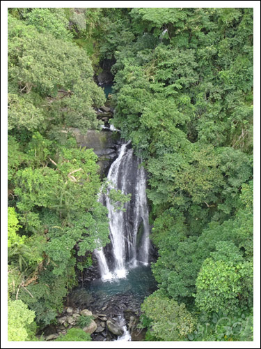 2021烏來雲仙樂園陸海空遊記