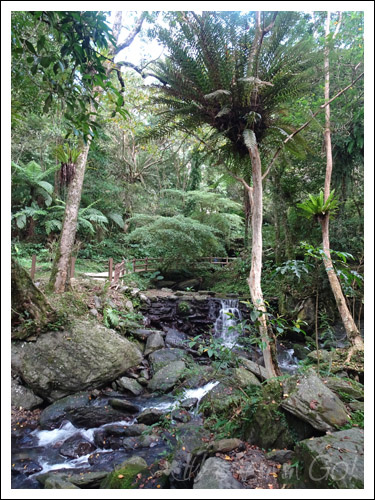 2021烏來雲仙樂園陸海空遊記