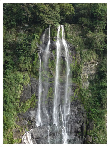 2021烏來雲仙樂園陸海空遊記
