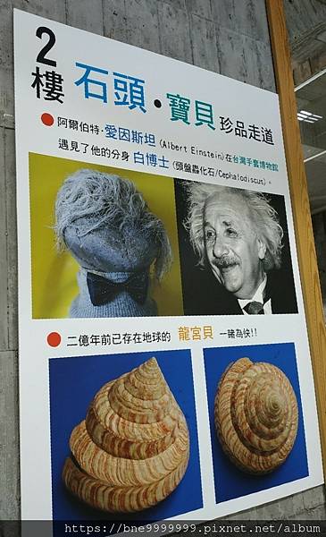 LINE_ALBUM_創辦人希望根留台灣手套MIT二樓還有他的收藏貝殼化石_221016_9.jpg